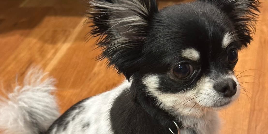 輝大 の施工実績画像 1