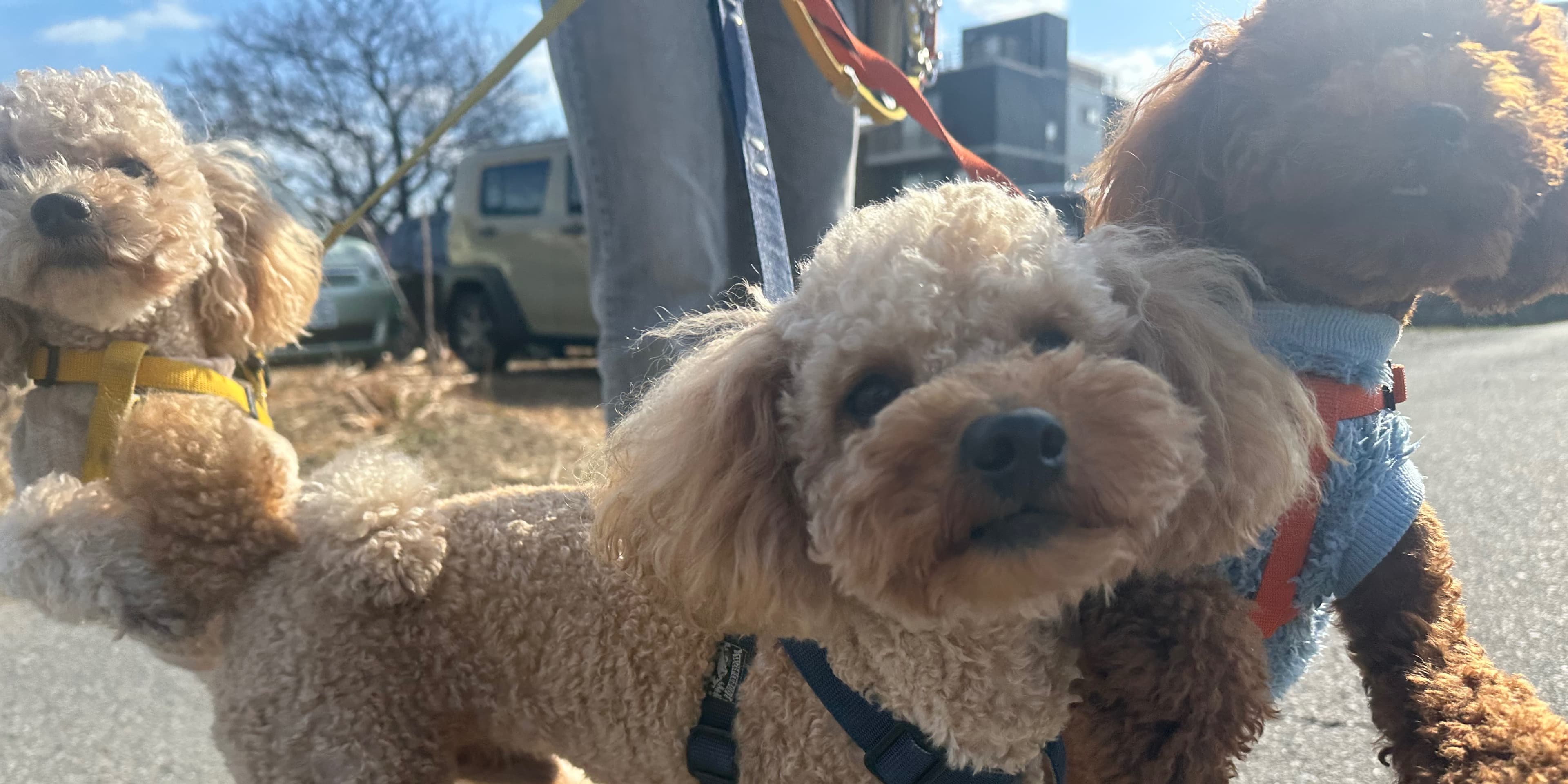 株式会社谷井土木 の施工実績画像 1