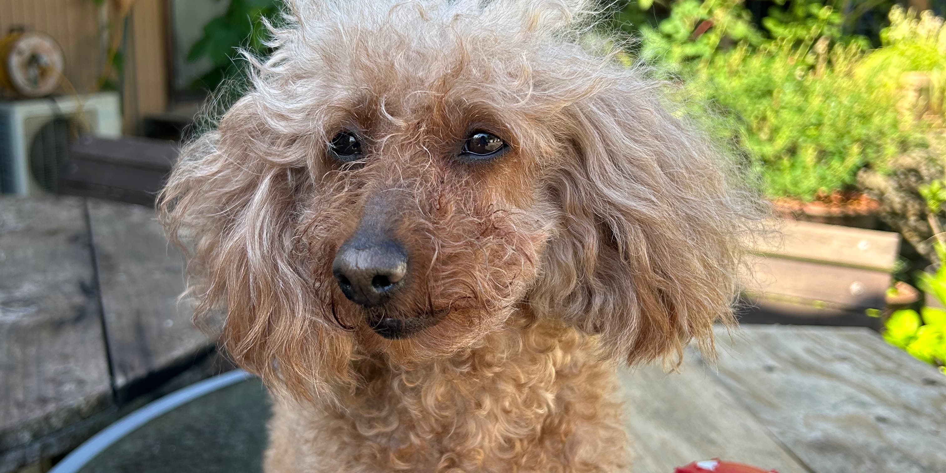 株式会社ミヤザキ の施工実績画像 1